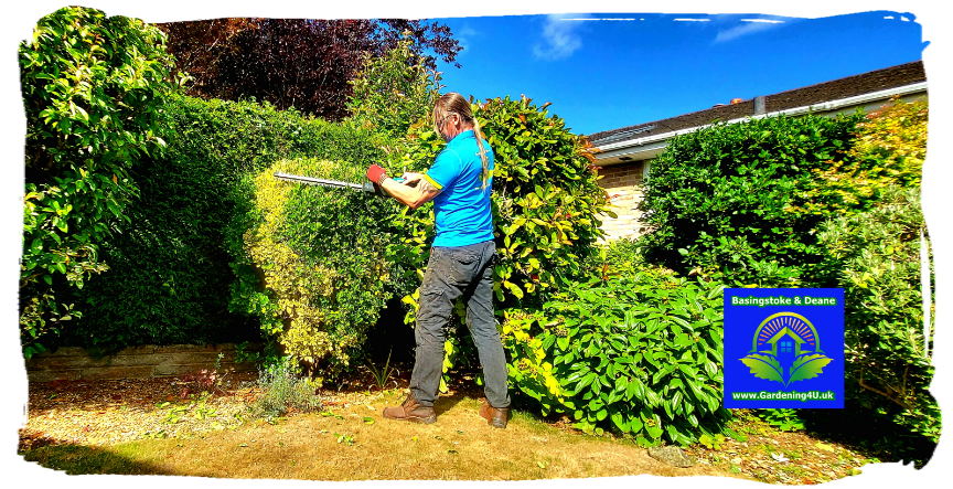 Gardening Gardener Landscaping Basingstoke and Dean